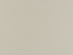 Tkanina Ridex Basic Glaze 05 Basic Glaze ze wzorem Płótno