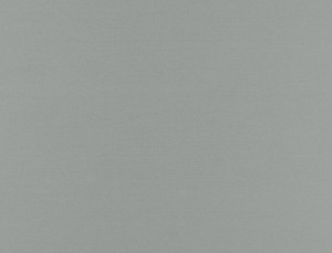 Tkanina Ridex Basic Glaze 06 Basic Glaze ze wzorem Płótno