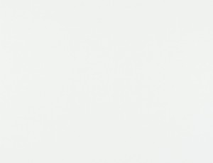 Tkanina Ridex Blackout 01 Basic Hold Blackout ze wzorem Płótno