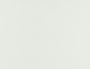 Tkanina Ridex Blackout 02 Basic Hold Blackout ze wzorem Płótno