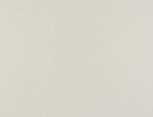 Tkanina Ridex Basic Sunstop Blackout 01 Basic Sunstop Blackout ze wzorem Płótno