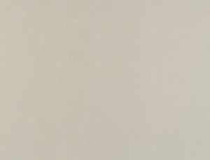 Tkanina Ridex Basic Sunstop Blackout 02 Basic Sunstop Blackout ze wzorem Płótno