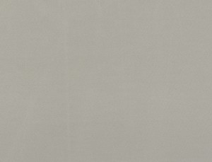 Tkanina Ridex Basic Sunstop Blackout 03 Basic Sunstop Blackout ze wzorem Płótno