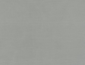 Tkanina Ridex Basic Sunstop Blackout 04 Basic Sunstop Blackout ze wzorem Płótno