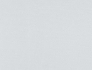 Tkanina Ridex Basic Sunstop Blackout 05 Basic Sunstop Blackout ze wzorem Płótno