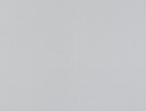 Tkanina Ridex Basic Sunstop Blackout 06 Basic Sunstop Blackout ze wzorem Płótno