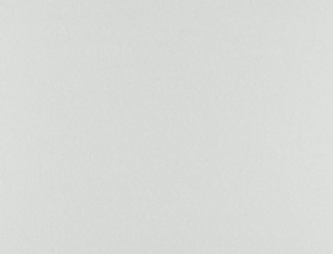 Tkanina Ridex z Brass 13 Brass ze wzorem Płótno