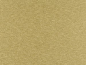 Tkanina Ridex z Brass 19 Brass ze wzorem Płótno