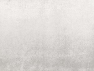 Tkanina Ridex z Celebration Velvet 01 Celebration Velvet ze wzorem Cieniowanie