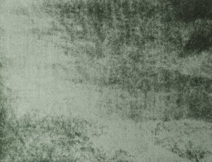 Tkanina Ridex z Celebration Velvet 22 Celebration Velvet ze wzorem Cieniowanie