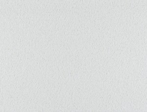 Tkanina Ridex Hipster 01 Hipster ze wzorem Płótno