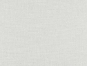 Tkanina Ridex Islandic 01 Plain ze wzorem Płótno