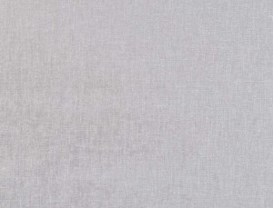 Tkanina Ridex Jazz Nova 12 Nova ze wzorem Płótna