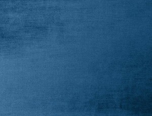 Tkanina Ridex z Jubilation Velvet 05 Jubilation Velvet ze wzorem Jedwab
