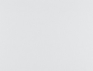 Tkanina Ridex z Merino II 01 Merino II ze wzorem Płótno