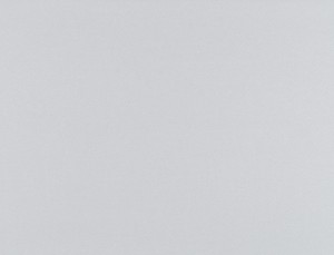 Tkanina Ridex z Merino II 02 Merino II ze wzorem Płótno