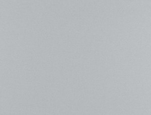 Tkanina Ridex z Merino II 03 Merino II ze wzorem Płótno