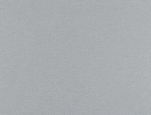 Tkanina Ridex z Merino II 04 Merino II ze wzorem Płótno