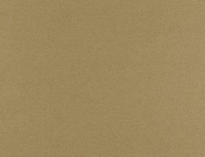 Tkanina Ridex z Merino II 14 Merino II ze wzorem Płótno