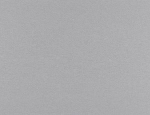 Tkanina Ridex z Merino II 21 Merino II ze wzorem Płótno