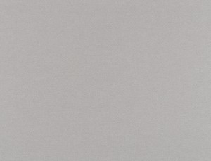 Tkanina Ridex z Merino II 22 Merino II ze wzorem Płótno