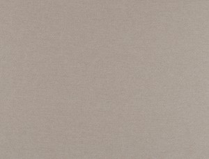 Tkanina Ridex z Merino II 23 Merino II ze wzorem Płótno