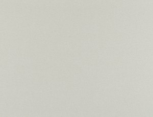 Tkanina Ridex z Merino II 25 Merino II ze wzorem Płótno