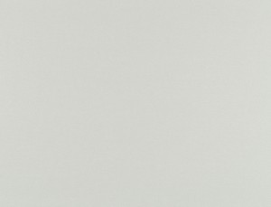 Tkanina Ridex z Merino II 26 Merino II ze wzorem Płótno