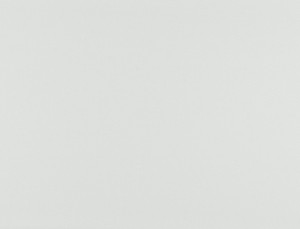 Tkanina Ridex z Merino II 27 Merino II ze wzorem Płótno