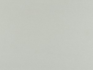 Tkanina Ridex z Merino II 28 Merino II ze wzorem Płótno