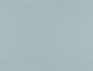 Tkanina Ridex z Merino II 29 Merino II ze wzorem Płótno