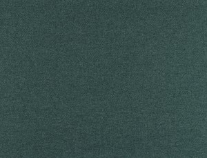 Tkanina Ridex z Merino II 34 Merino II ze wzorem Płótno