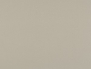 Tkanina Ridex z Moonlight 05 Moonlight ze wzorem Płótna