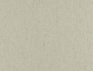 Tkanina Ridex z Nordic 08 Nordic ze wzorem Płótno