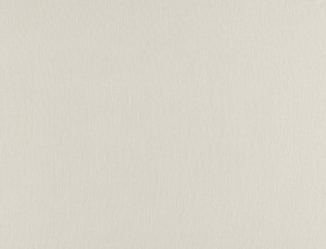 Tkanina Ridex z Nordic 16 Nordic ze wzorem Płótno