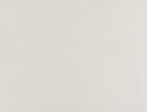 Tkanina Ridex z Nordic 17 Nordic ze wzorem Płótno