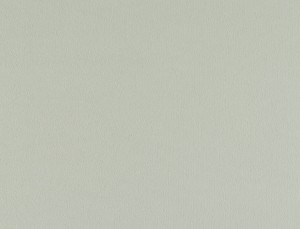 Tkanina Ridex z Peachy 13 Peachy ze wzorem Płótno