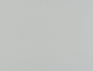 Tkanina Ridex z Peachy 14 Peachy ze wzorem Płótno