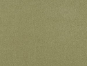 Tkanina Ridex z Peachy 20 Peachy ze wzorem Płótno