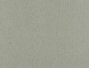 Tkanina Ridex z Peachy 21 Peachy ze wzorem Płótno