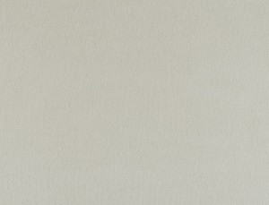 Tkanina Ridex z Peachy 22 Peachy ze wzorem Płótno