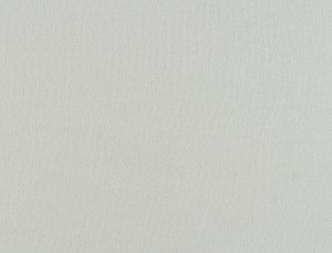 Tkanina Ridex z Peachy 24 Peachy ze wzorem Płótno