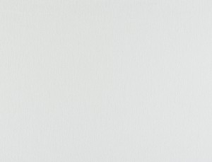 Tkanina Ridex z Peachy 25 Peachy ze wzorem Płótno