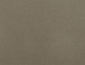 Tkanina Ridex z Peachy 31 Peachy ze wzorem Płótno