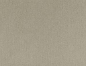 Tkanina Ridex z Peachy 32 Peachy ze wzorem Płótno