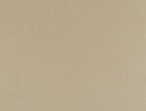 Tkanina Ridex z Peachy 33 Peachy ze wzorem Płótno