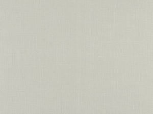 Tkanina Ridex Pebble 20 Pebble ze wzorem Płótno