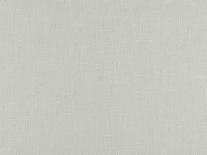 Tkanina Ridex Pebble 21 Pebble ze wzorem Płótno