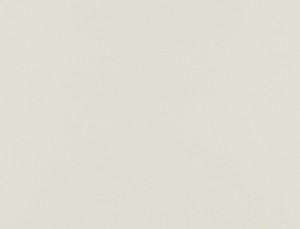 Tkanina Ridex z Dimout 02 Solar Dimout ze wzorem Płótno