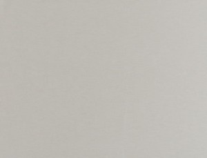 Tkanina Ridex Universe 02 Plain ze wzorem Płótno